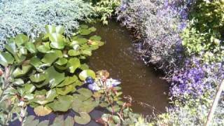 le jardin de mon père