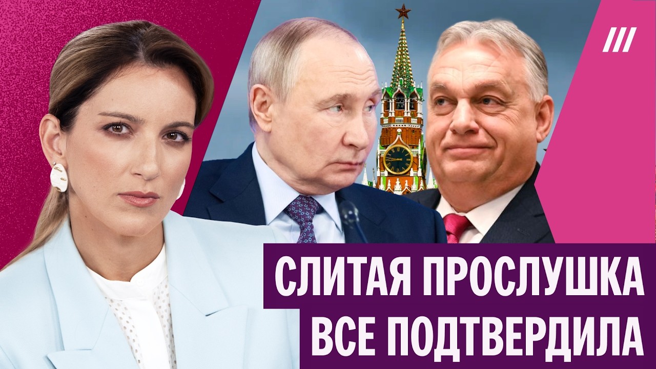 «Орбан объявил Украине войну». Котрикадзе — о том, как Венгрия вступила в сг?