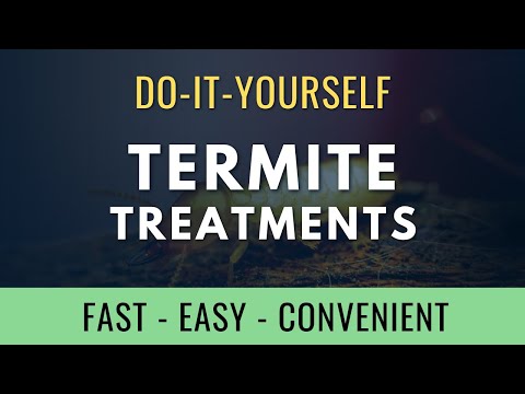 DIY Termite Treatments: Get rid of Termites Fast & Cheap