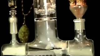 Download lagu Ganja mp3 Download lagu Ganja mp3