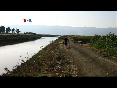 VOA - RESTORASI BENDUNGAN BAWA HARAPAN BARU BAGI PETANI SURIAH