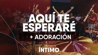 Download lagu Aquí te esperaré   Jesús   Al que está sentado en el trono (Live) (Toma Tu Lugar) | Íntimo mp3