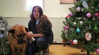 Pennsylvania SPCA Stand Pup Comedy with Beebee and Jennifer