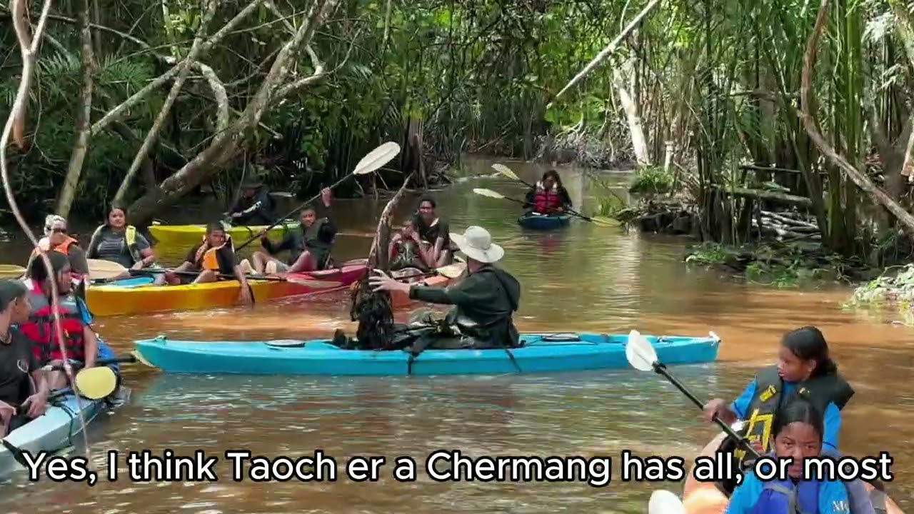 KIWA MICOAST PROJECT - ORM Mangrove story