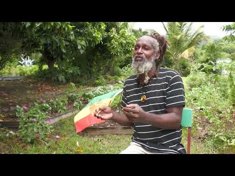 Ras Sankofa on Emancipation and the Way Forward for St Kitts and Nevis