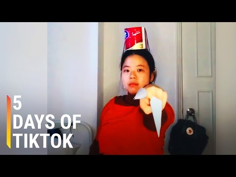 5日でTikTokスターになってみた (I Tried Becoming a TikTok Star in 5 Days)