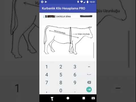 Kurbanlık Kilo Hesaplama PRO Video
