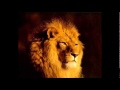 Daweh congo - Jah know 
