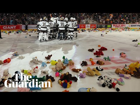 Hockey fans throw thousands of teddy bears on to the ice for charity