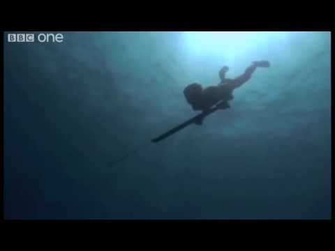 Sea Bed Hunting On One Breath - Human Planet: Oceans, preview - BBC One