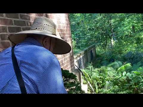 Northern Virginia Bonsai Society Fall Show