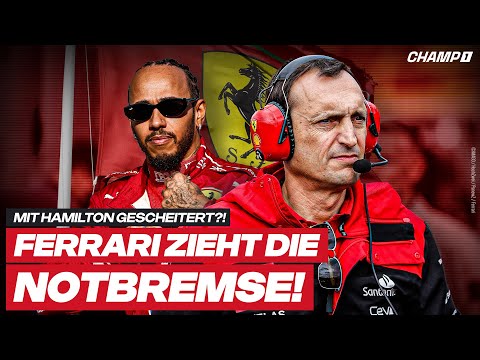 Ferrari zieht Konsequenzen – Kommt jetzt ER? Red Bull dämpft 2026-Hoffnung, Haas enthüllt den VF-26