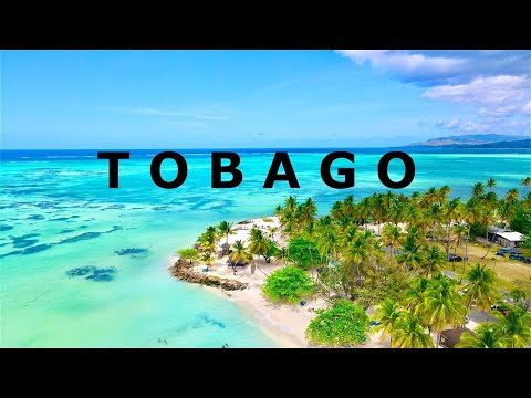 TOBAGO: TRAVEL GUIDE Trinidad & Tobago - ALL top sights in 4K + Drone