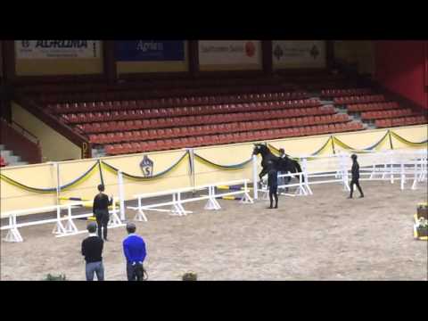 160311 Mr Vain and Kannatol