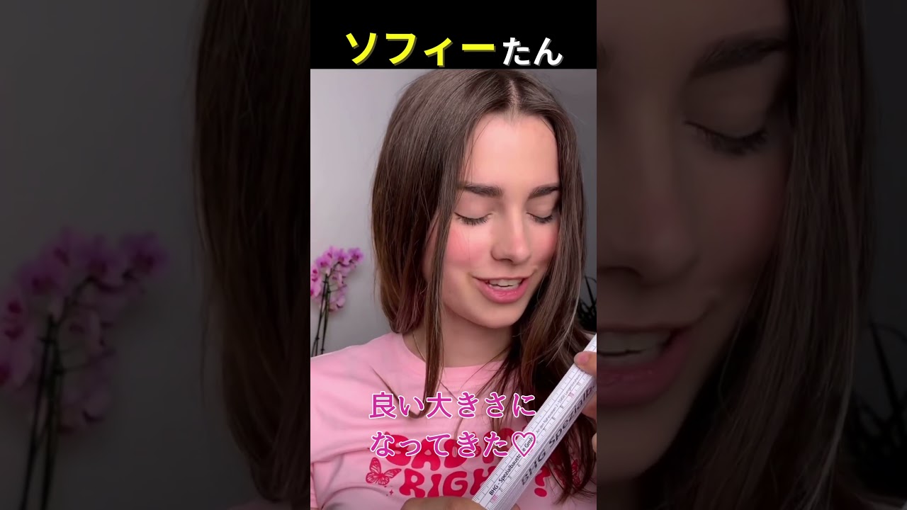 ソフィーたん #Shorts #ソフィーたん
