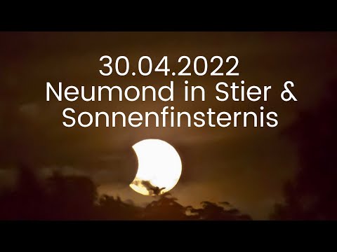 30.04.2022: Neumond in Stier ~ Das Schicksal mischt die Karten, wir spielen ... 💫 Podcast