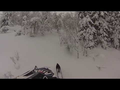 Polaris Pro RMK 155" Tree Riding in Klimpfjäll