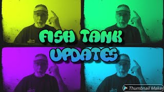 #Fishfam #FishTube #Shrimptube
Fish Tank Updates