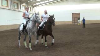 Sweet California - Indigo - (A caballo)