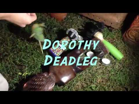 Fight Ibis - Dorothy Deadleg (Official Video)