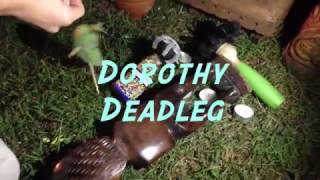 Fight Ibis - Dorothy Deadleg (Official Video)