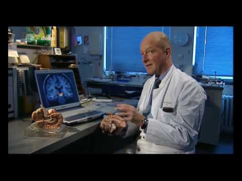 Imperium Die letzten Tage von Peking 2v5