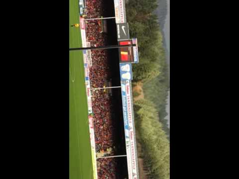 Vincenzo Grifo Freistoß Tor vs. Paderborn 22.11.15