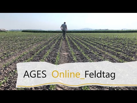 Feldtag 2021 "Fuchsenbigl" // Sojabohnen-Beregnungsversuch, Klemens Mechtler
