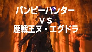 パンピーハンター vs 歴戦王ヌ・エグドラ