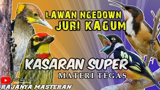 Download lagu JURI KAGUM LAWAN NGEDOWN || BURUNG TEMBAKAN Kasar MASTERAN BURUNG FIGHTER - SUPER MEWAH mp3