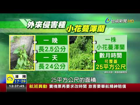 藤蔓危害