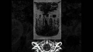 Xasthur - Dreams Blacker than Death