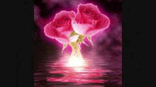 MANDINGO CALCETAS ROSAS