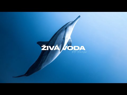 ŽIVÁ VODA | Petr Fiurášek
