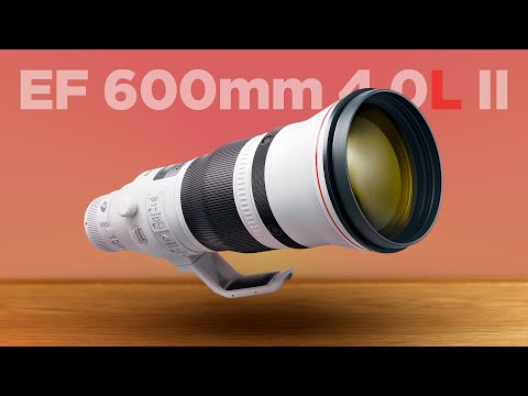 Video thumbnail for Video Review 1