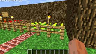 preview picture of video 'Moja wioska w Minecraft'