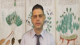 VOYNICH REVELATIONS by GIUSEPPE BIANCHI joe33@libero it - SOLVED DECIPHERED TEPENECE