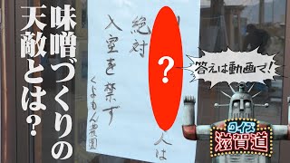 味噌づくりの「天敵」とは？：クイズ滋賀道