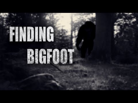 BigFoot Got a New Update (BigFoot 4.0)