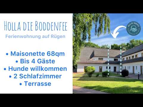💙 FeWo "Holla die Boddenfee" auf Rügen 💙 Meerblick aus jedem Fenster - Natur pur - Urlaub mit Hund