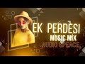 Ek Perdesi Mera Dil Le Gaya Dj Mix Nagin Music New Remix Song AUDIO SPEACE