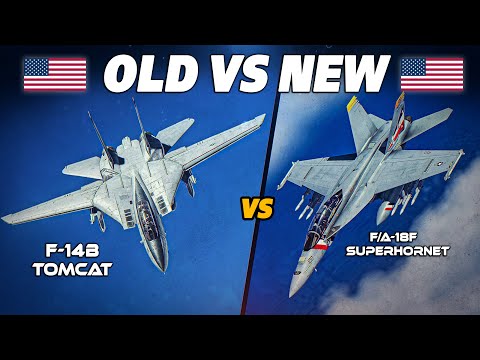 Retired Too Soon ? F-14B Tomcat Vs F/A-18F Super Hornet | Digital Combat Simulator | DCS |