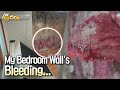 Red Blood Stain Leaking on the Wall in My Room - I M Shook Red Blood Stain Leaking on the Wall in My Room