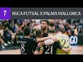 HIGHLIGHTS: RSCA Futsal - Palma Mallorca | 2022-2023 | Futsal Champions League