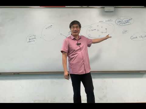 Civilization #5:  The Yamnaya Conquest of Europe