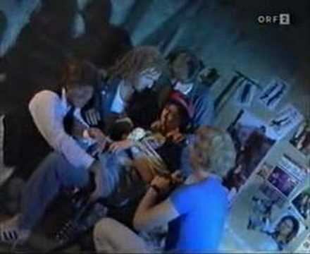 Die Hektiker - Ich scheiß dir ins Hirn