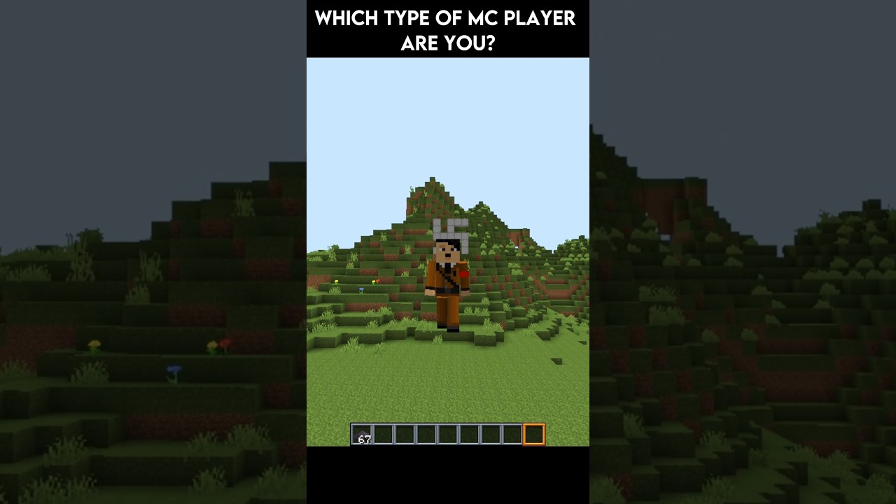 Which Type Of Minecraft Player Are You?😎