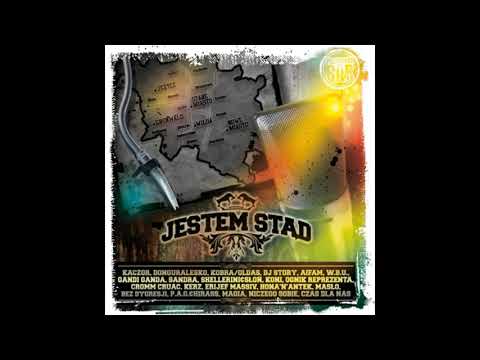 Dj Story, Shellerini, Słoń, RY23, Paluch, Kobra, Oldas, Pele, Gandzior - To miasto (G.R.D Remix)