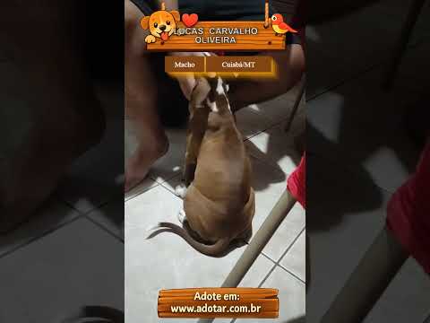Vídeo de LUCAS CARVALHO OLIVEIRA