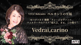 Download lagu Vedrai,carino モーツァルト 歌劇「ドン・ジョヴァンニ」ツェルリーナのアリア 恋人よ、さぁ、この薬で(Mozart ”Don Giovanni” ) mp3 Download lagu Vedrai,carino モーツァルト 歌劇「ドン・ジョヴァンニ」ツェルリーナのアリア 恋人よ、さぁ、この薬で(Mozart ”Don Giovanni” ) mp3